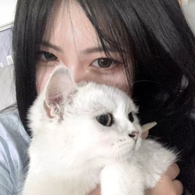 权争红颜官方最新版下载