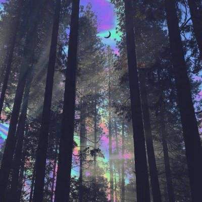 寻幻传说破解版下载